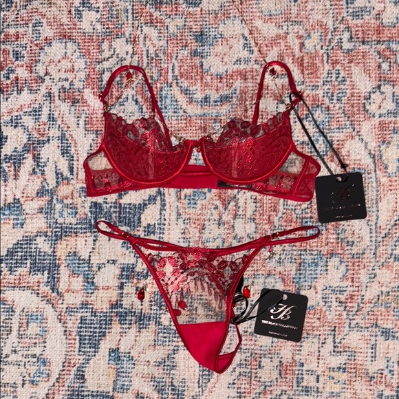 Honey Birdette Ruby Set in Raspberry Bra SZ US 32A Thong SZ XXS NWT - Picture 3 of 4